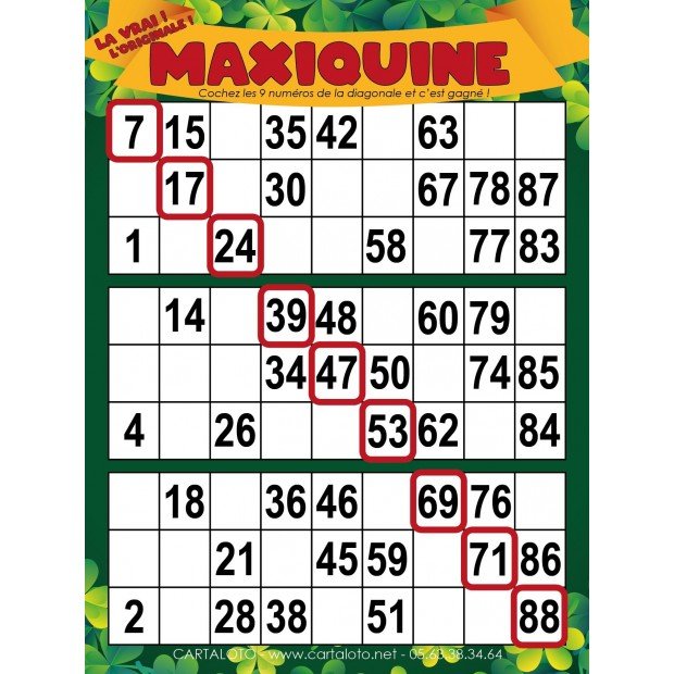 maxiquine.jpg