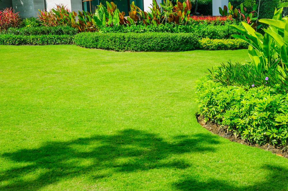 entretien-jardin-professionnel.jpg