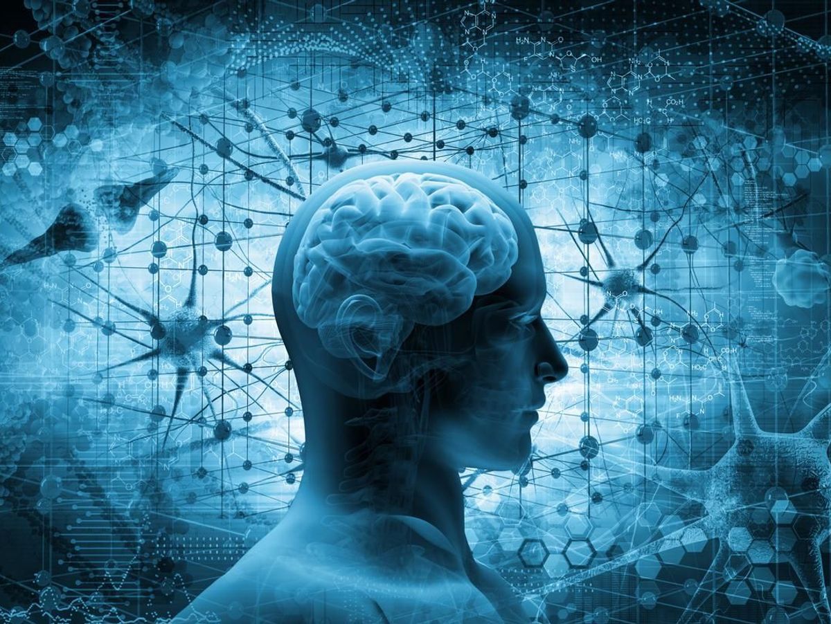 systeme neuro.jpeg