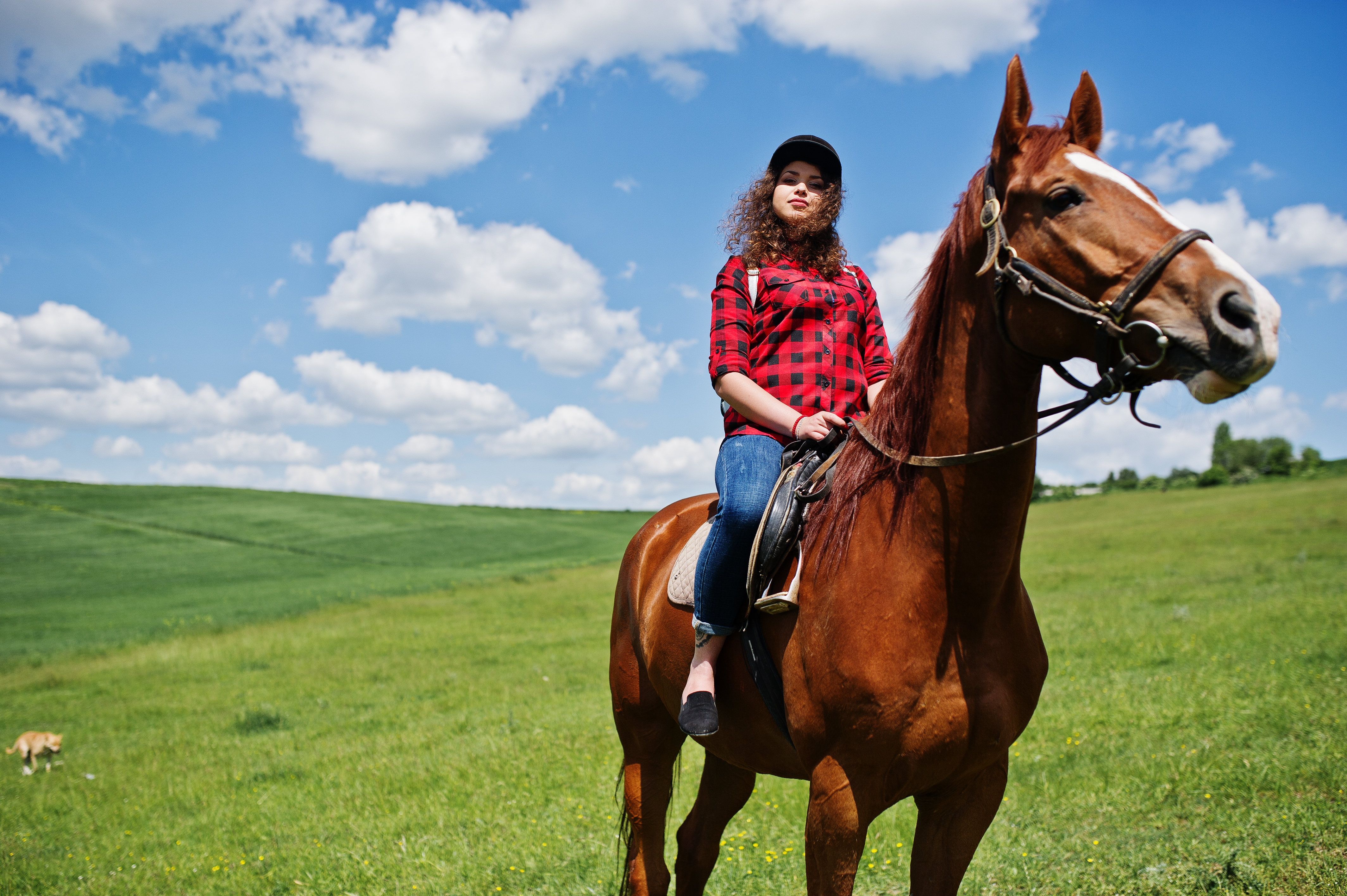 young-pretty-girl-riding-horse-field-sunny-day.jpg