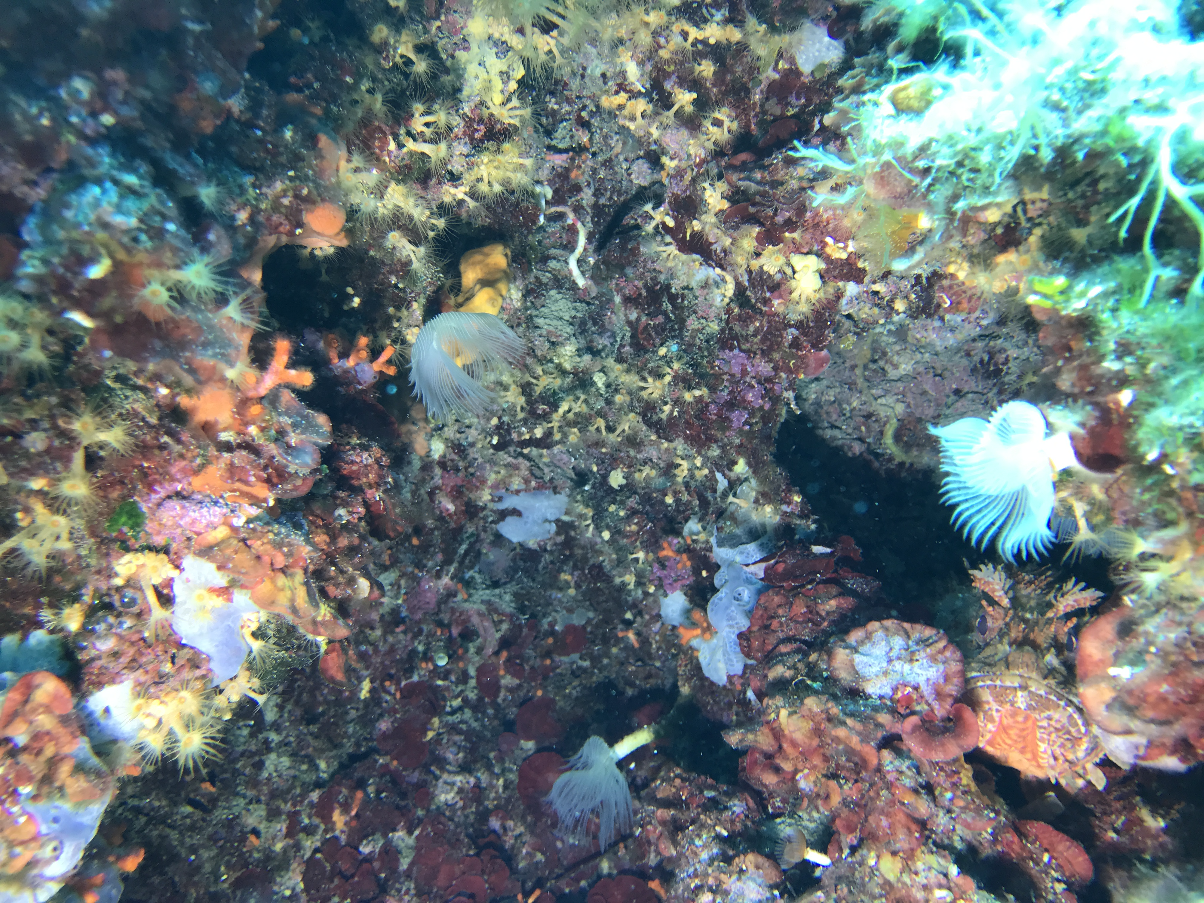 IMG_7491.png