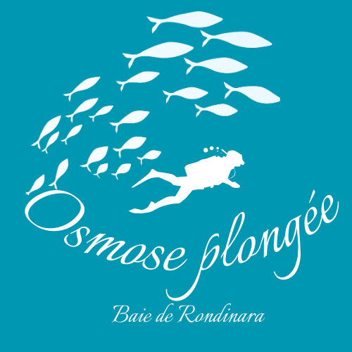 osmose plongée centre de plongée
Corse Rondinara