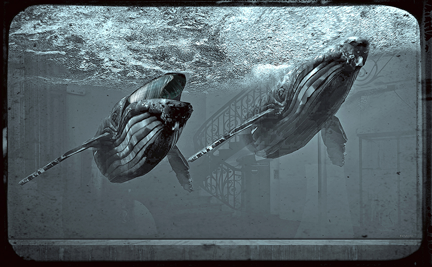Baleines dans un Aquarium webjpg.jpg