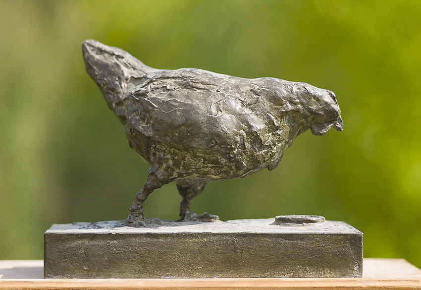 Poule04.jpg