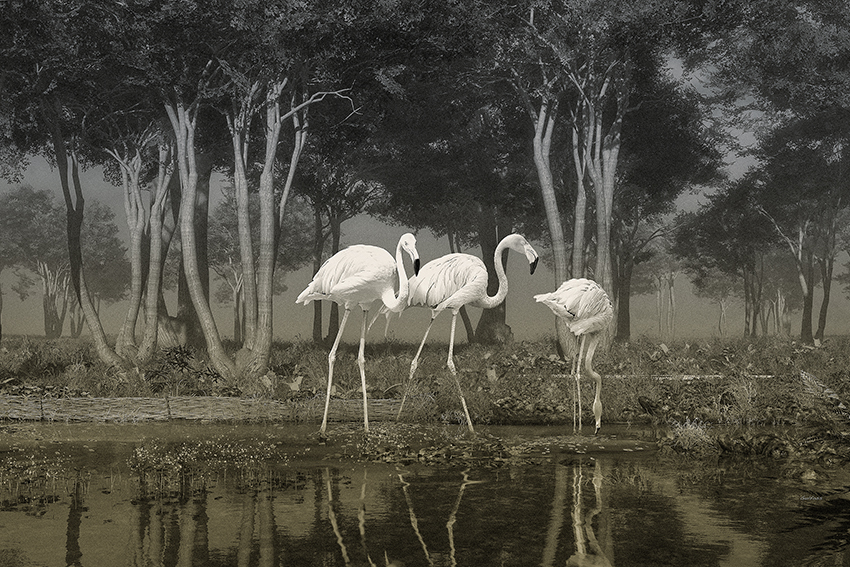 Flamants dans un Paysage.jpg