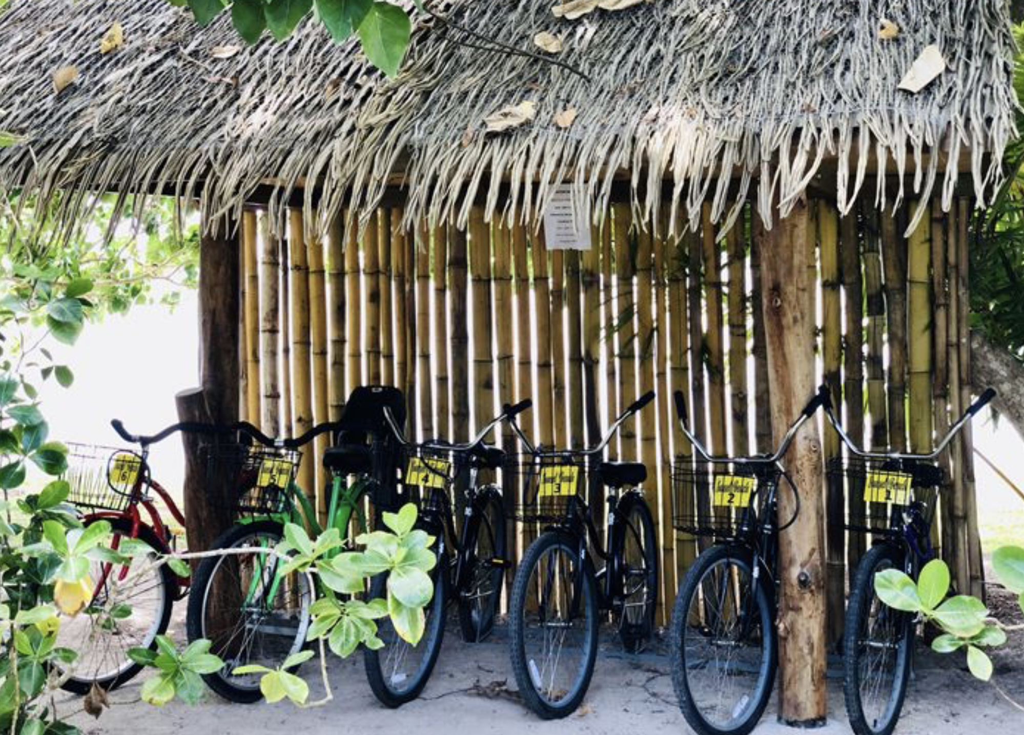 Vélos à louer à la réception