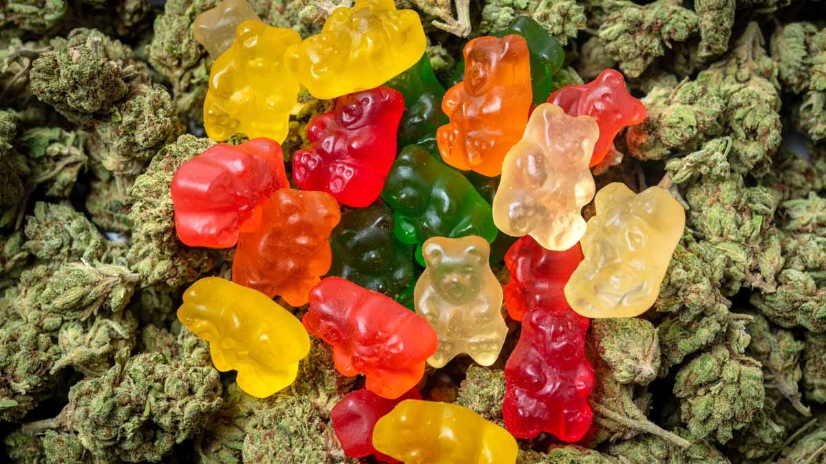 gummies1-1682154818.jpg