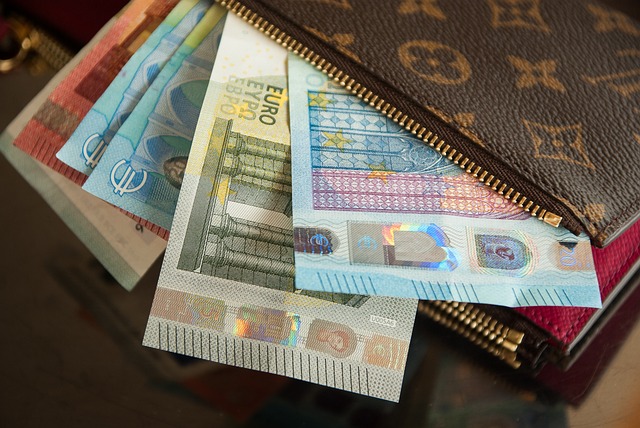 Découvrez le portefeuille magique en euro, un outil puissant pour attirer l'abondance financière. 