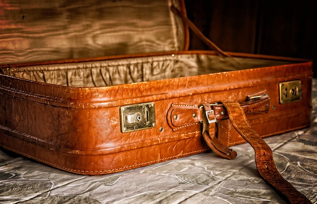 Découvrez la valise magique en euro, un outil puissant pour attirer la richesse et l'abondance. 