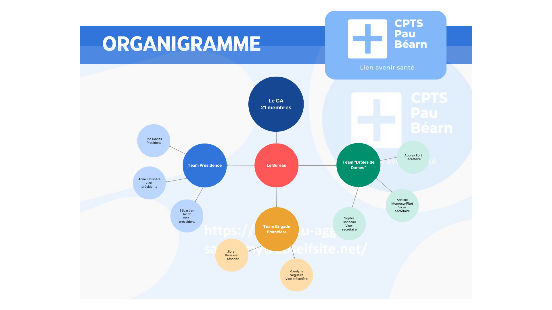 Organigramme CPTS.png