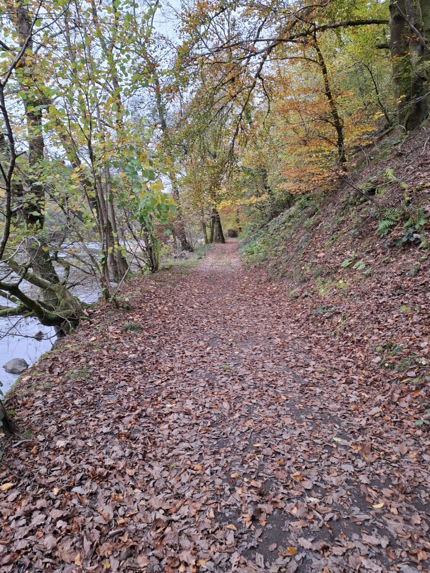 nature1.jpg