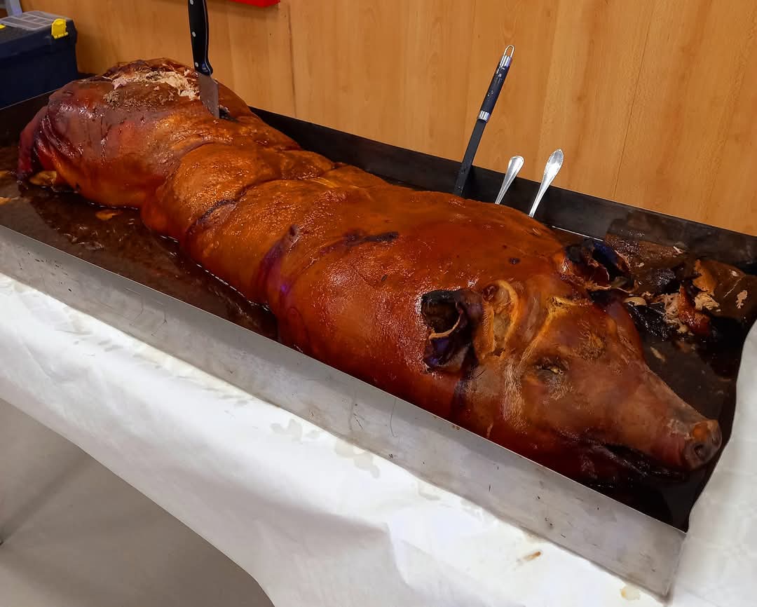 Cochon.jpg
