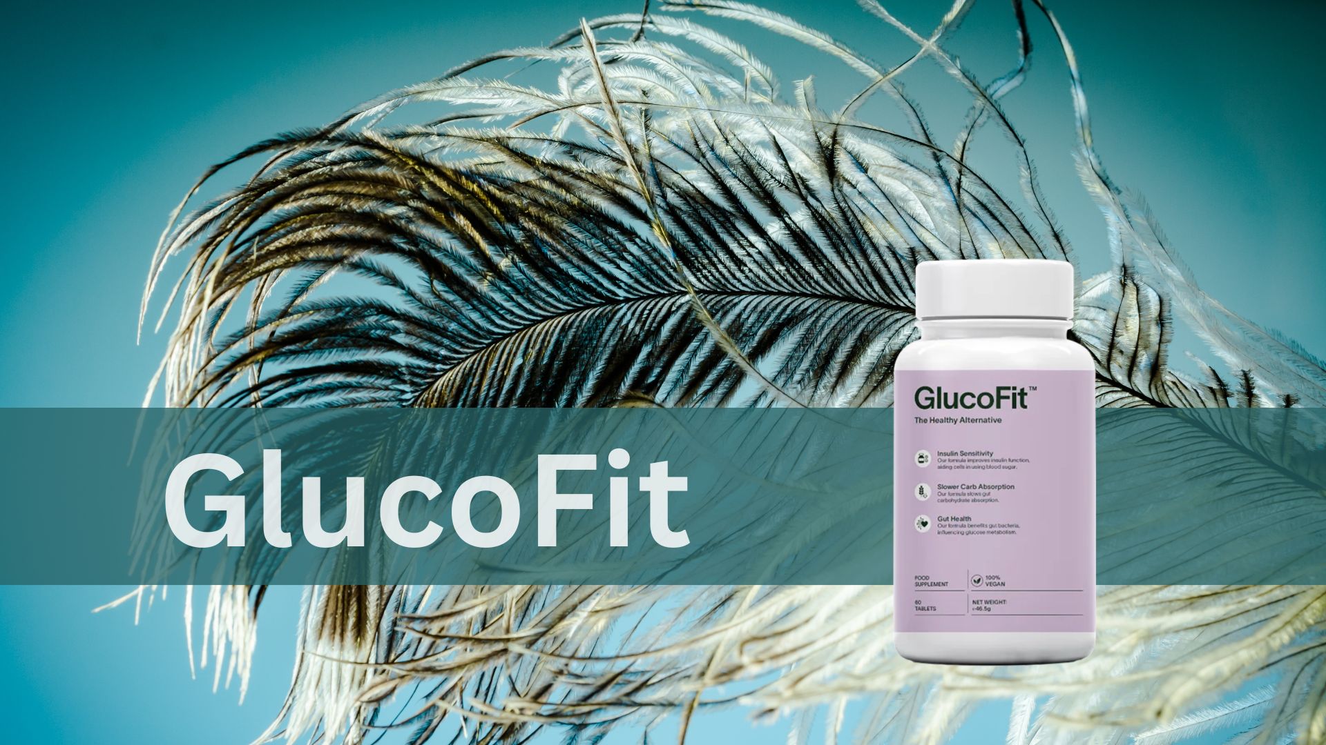 GlucoFit UK 1.jpg