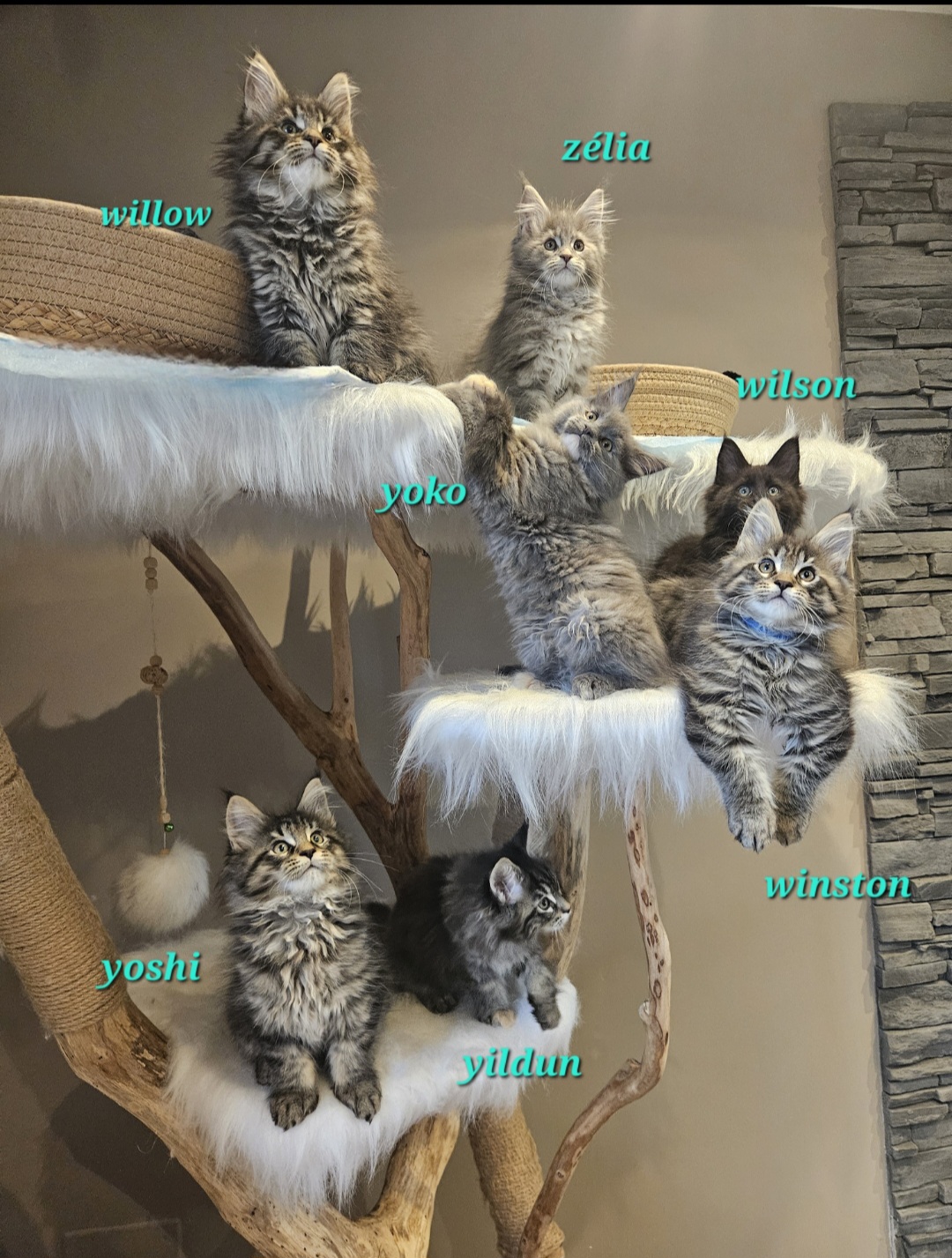 Screenshot_20250120_132446_Gallery.jpg