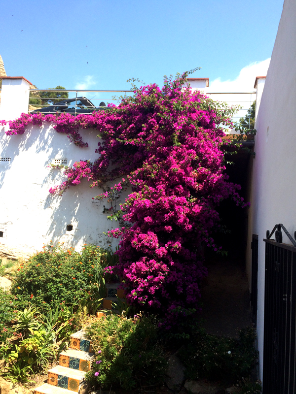 residence-belleza-iv-2.jpg