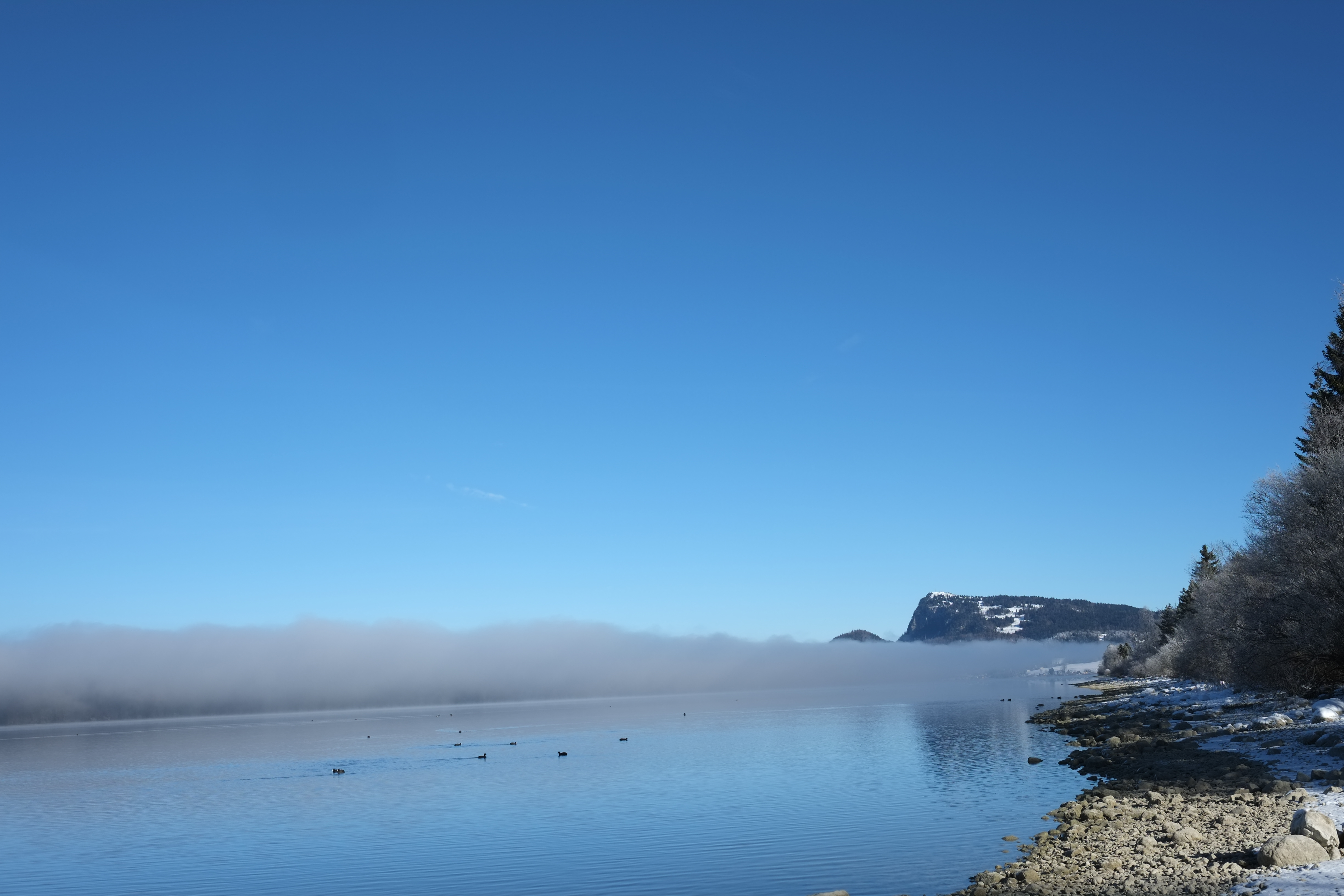 DSCF0183.JPG