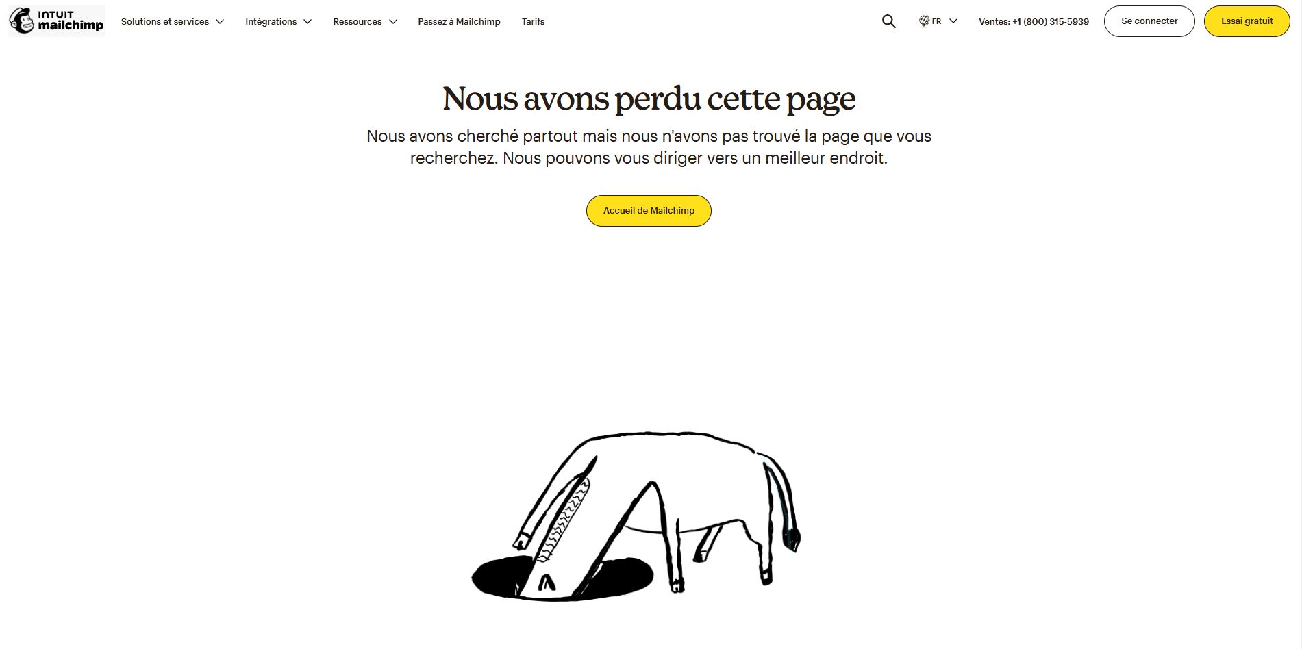 404_Mailchimp.JPG