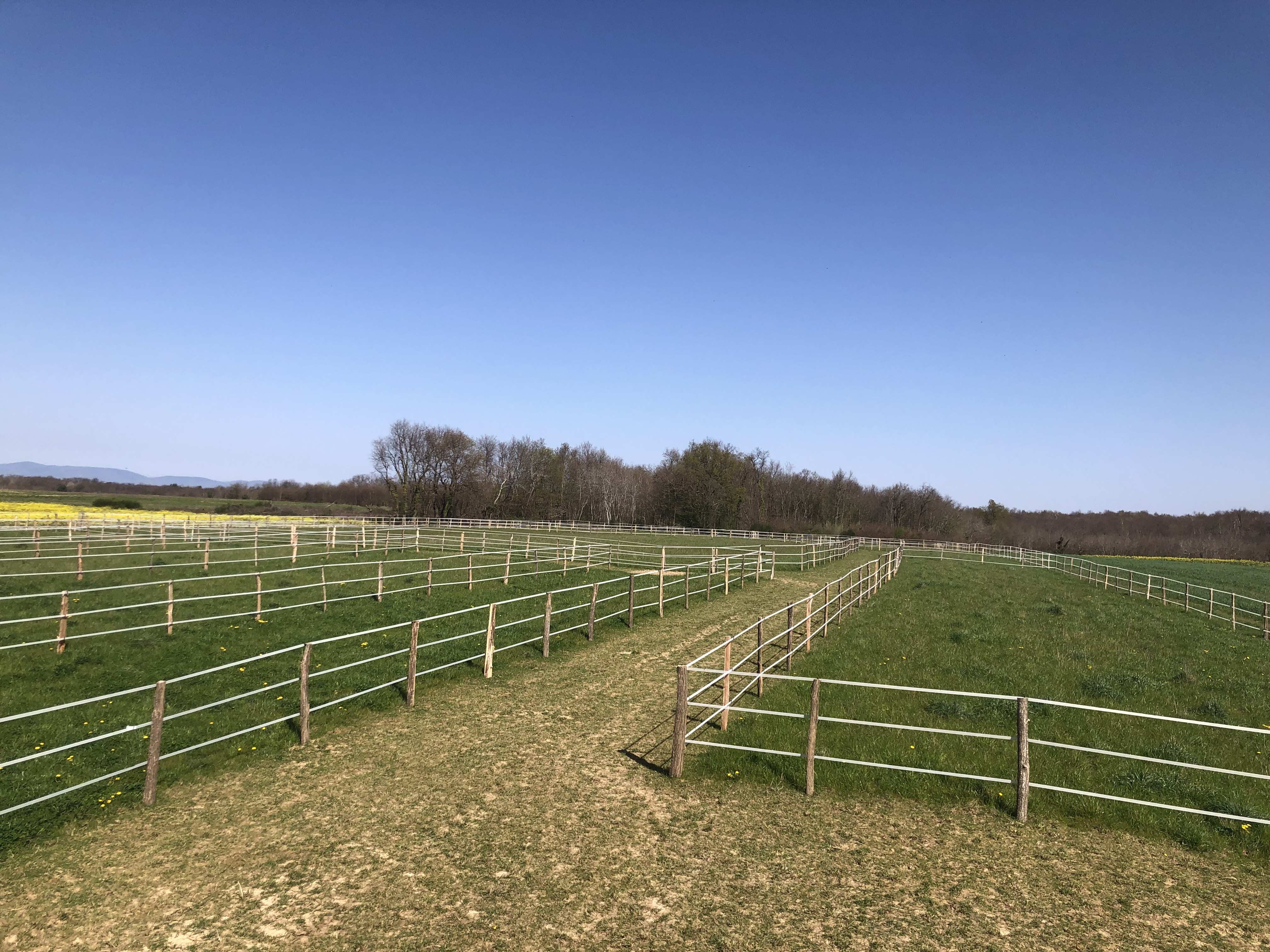 pension box paddock