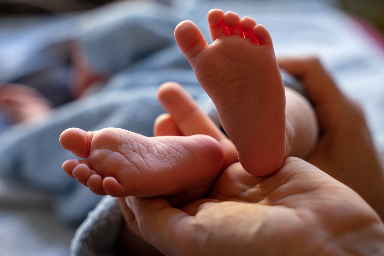 baby-4077353_1280.jpg