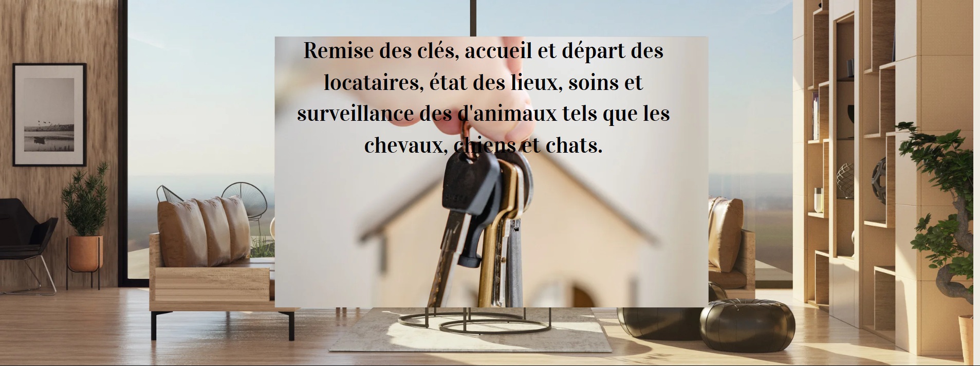 Capture d’écran (73).jpg