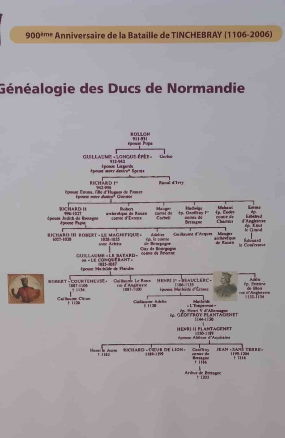 arbre.jpg