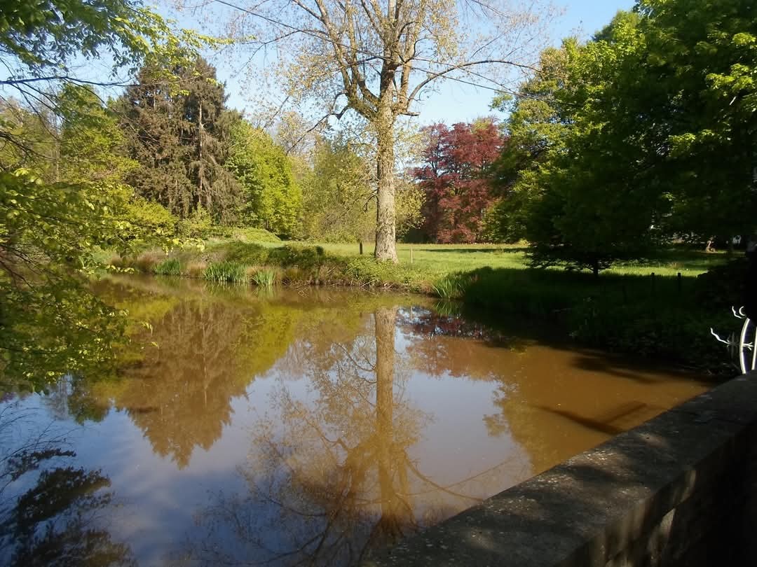 W6.jpg