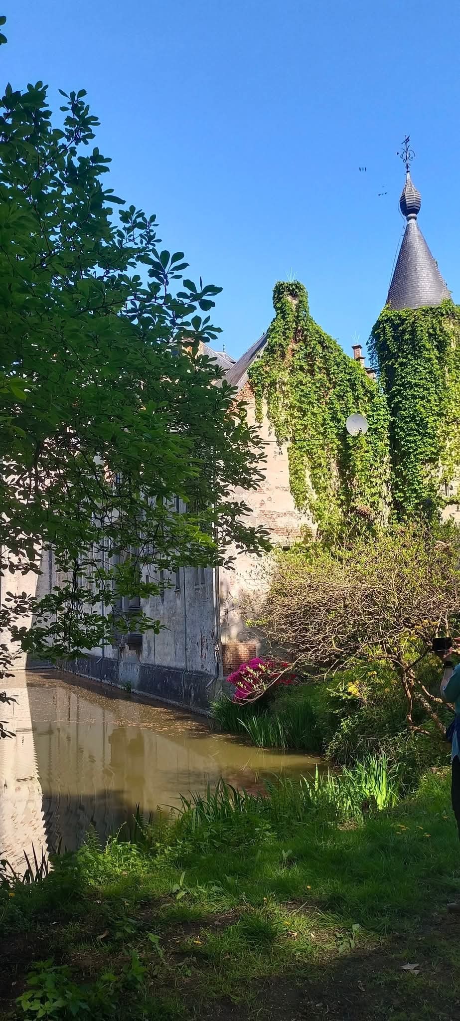 W21.jpg