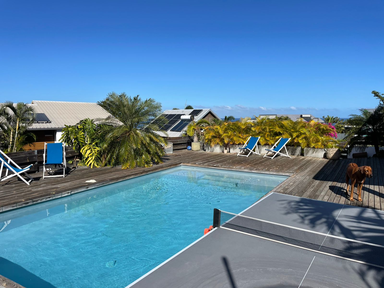Piscine.jpg