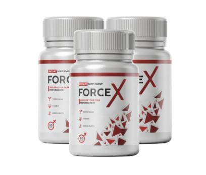 Force X Germany 2.jpg