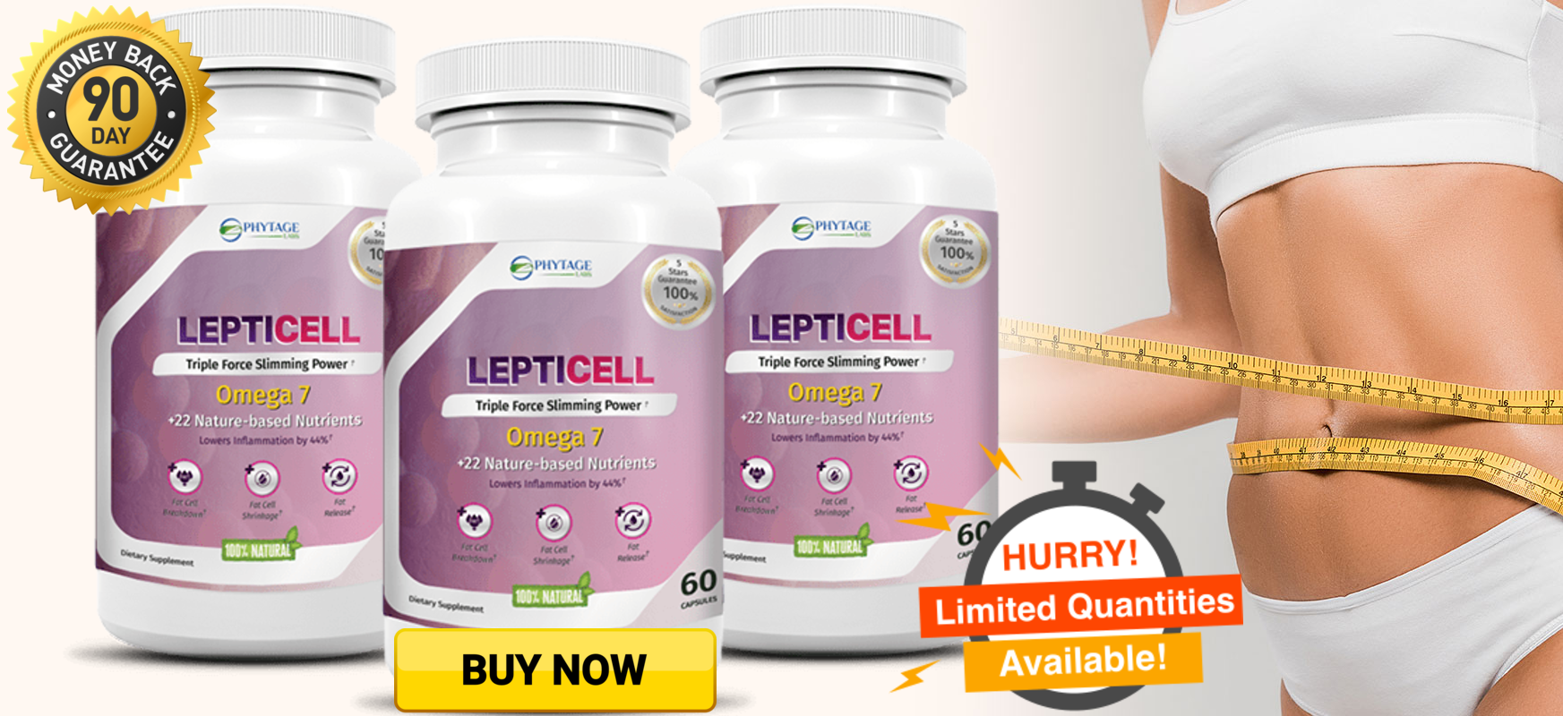 LeptiCell 1.png
