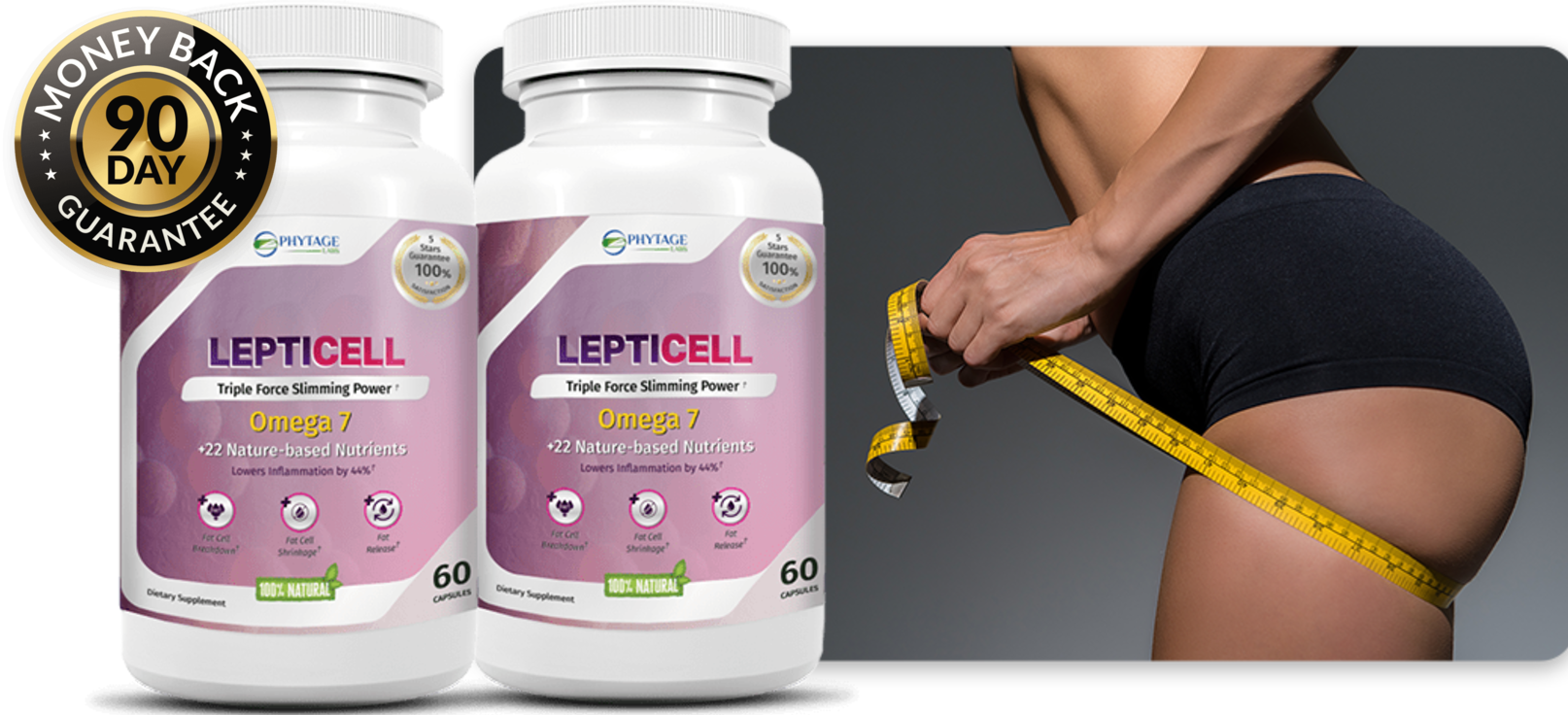 LeptiCell 2.png