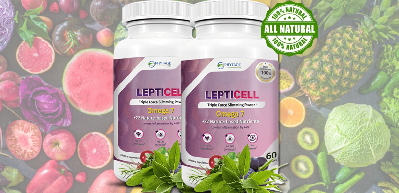 LeptiCell 3.png