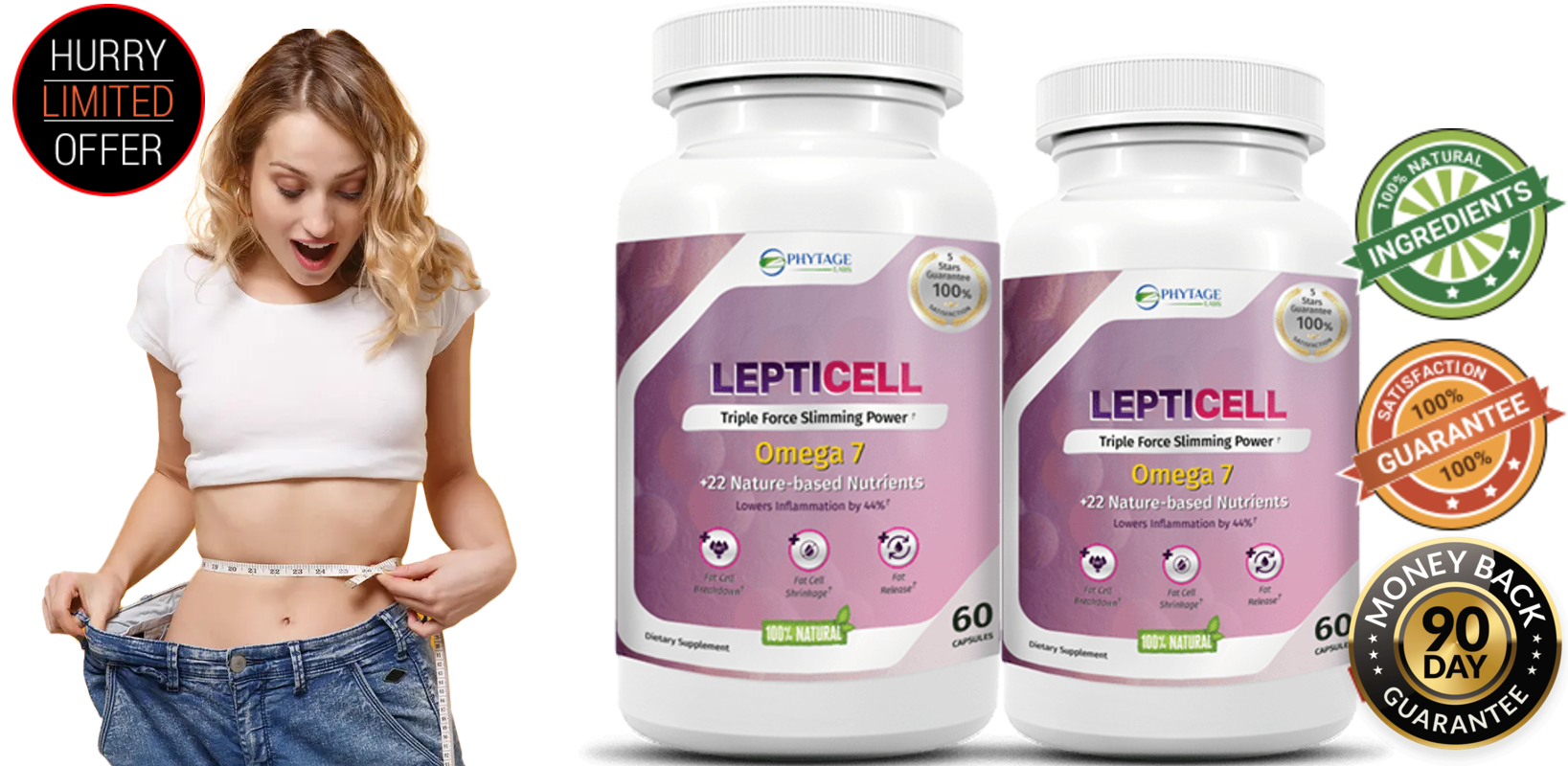LeptiCell 4.png