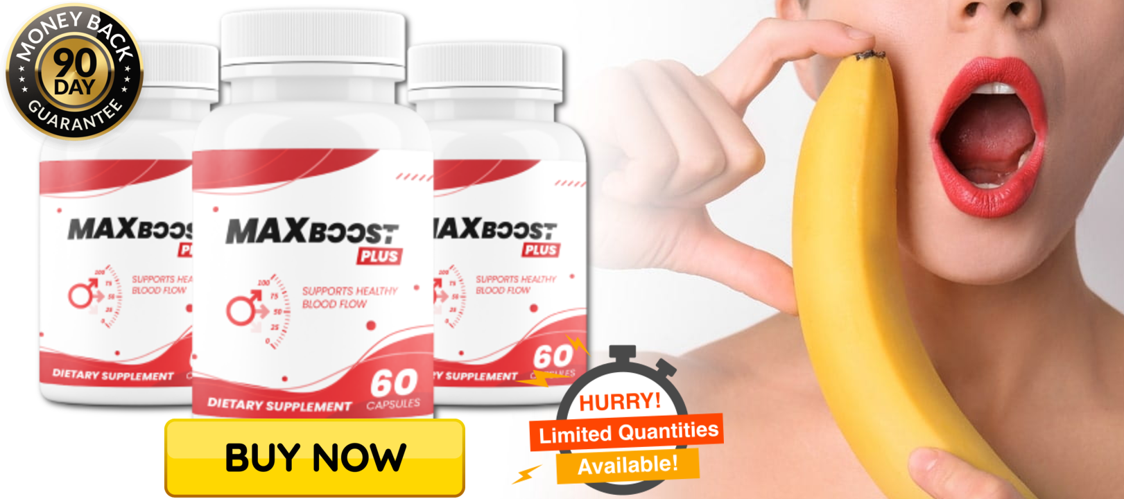 Max Boost Plus 2.png