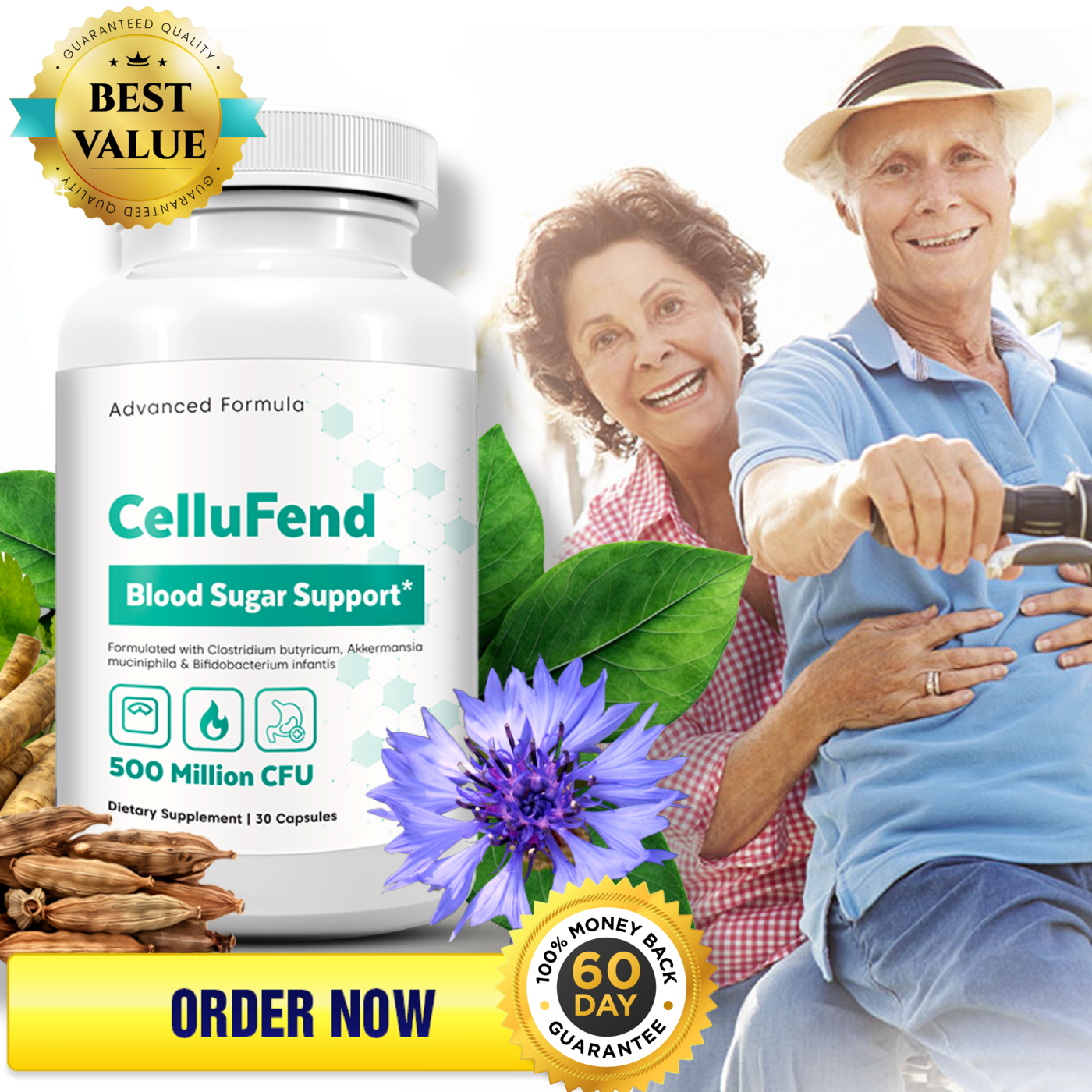 CelluFend 6.png