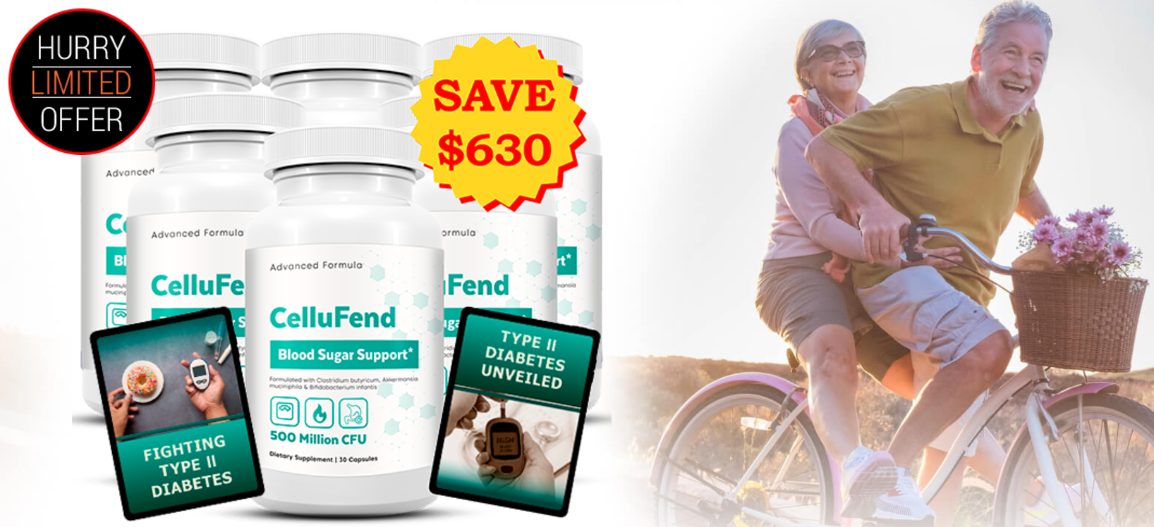 CelluFend 2.png