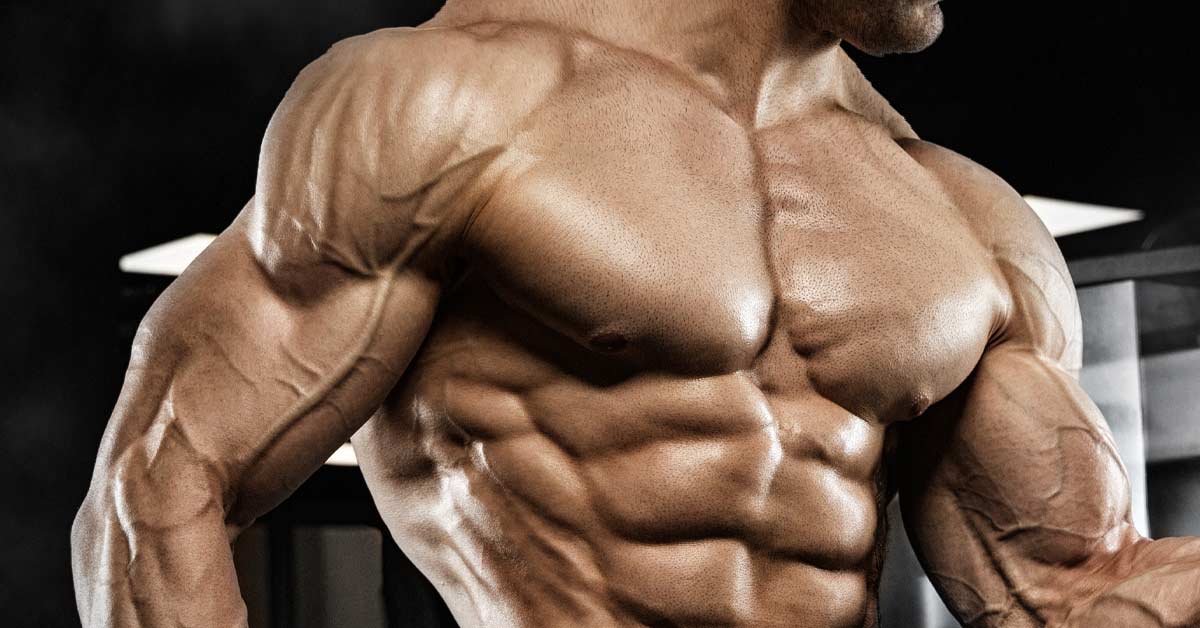 Muscle-Growth (1).jpg
