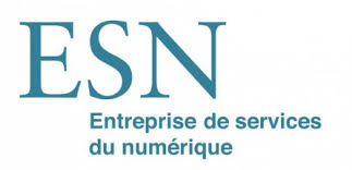 esn.jpeg