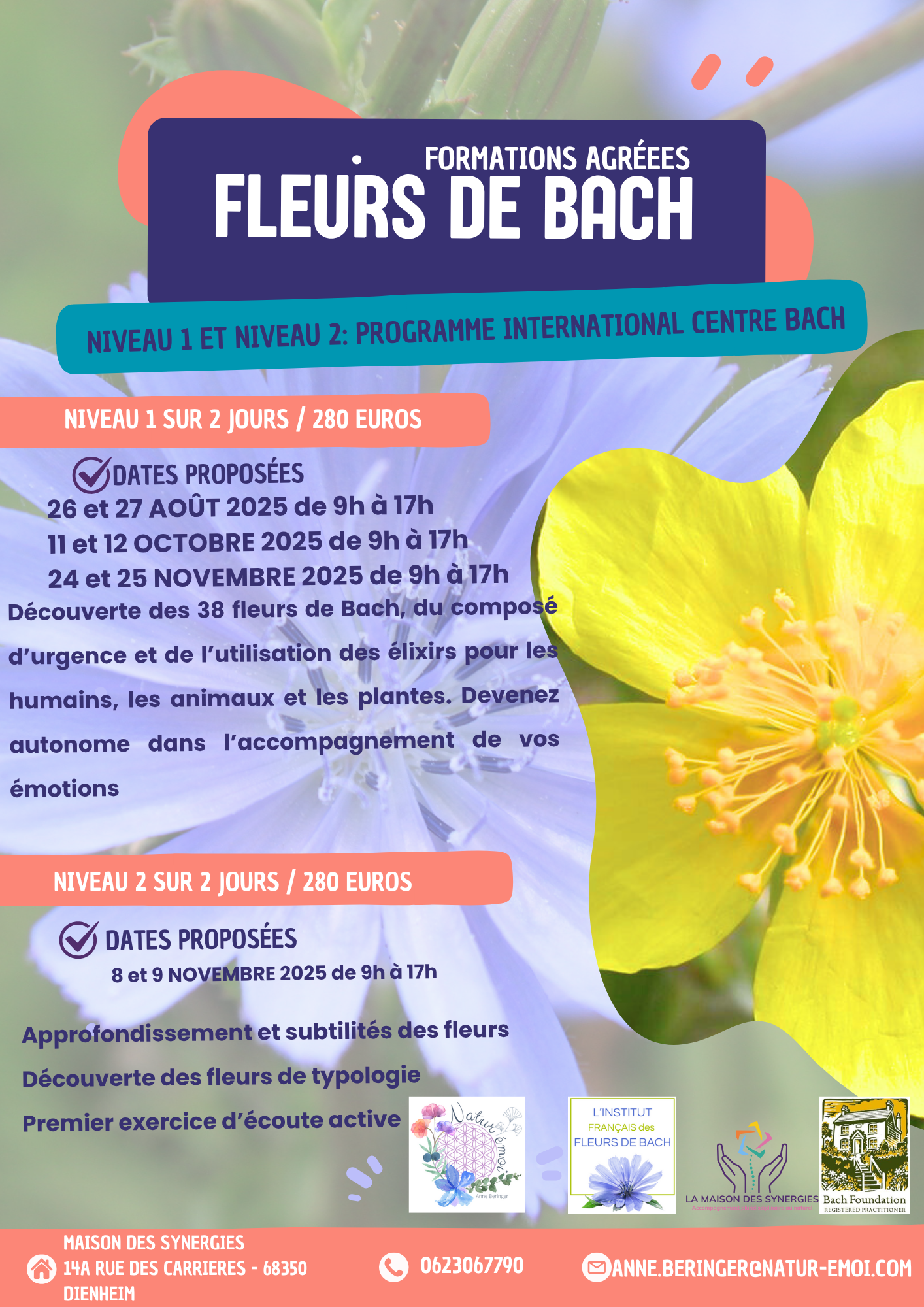 Document A4 Recrutement Bénévoles Association Formes Bleu et Rose.png