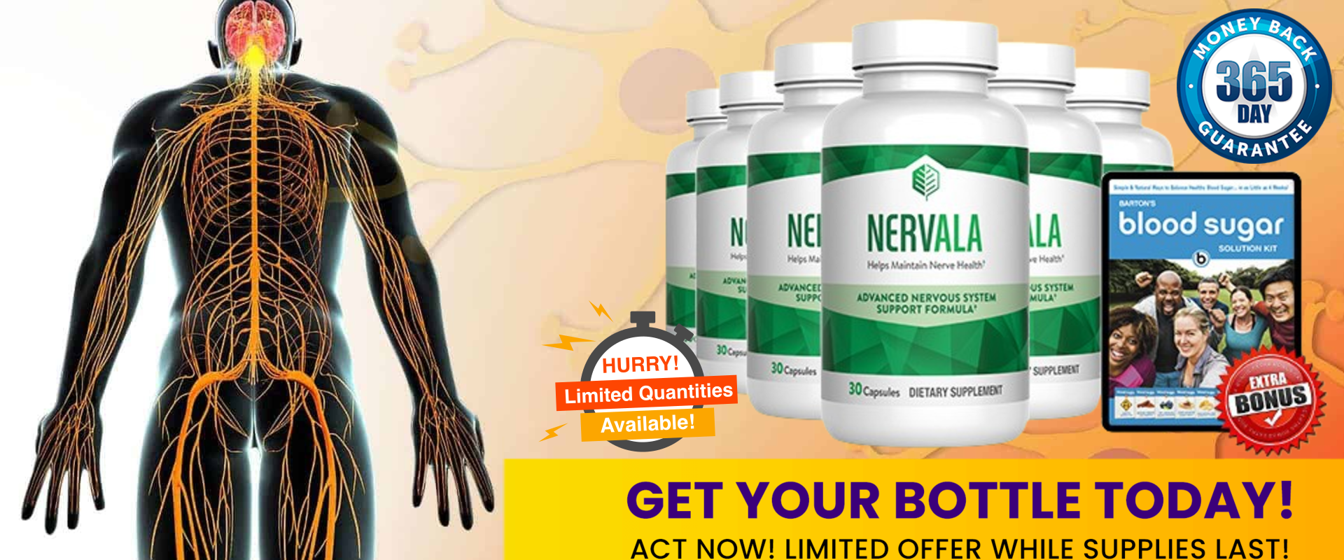 Nervala 5.png