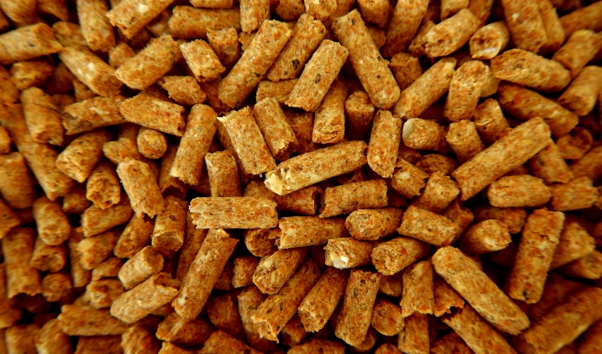 Feed Enzymes Market.jpg