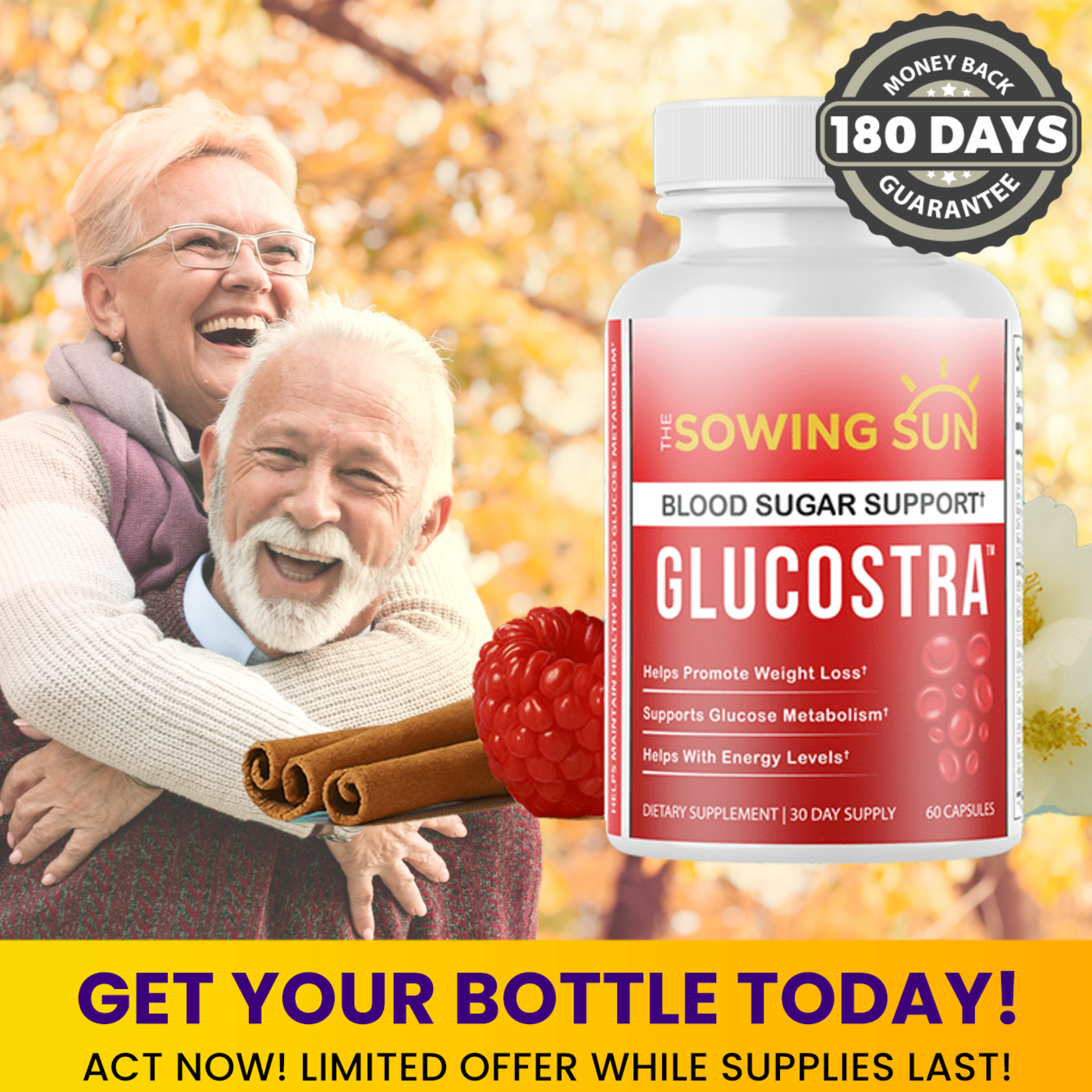 Glucostra 6.png
