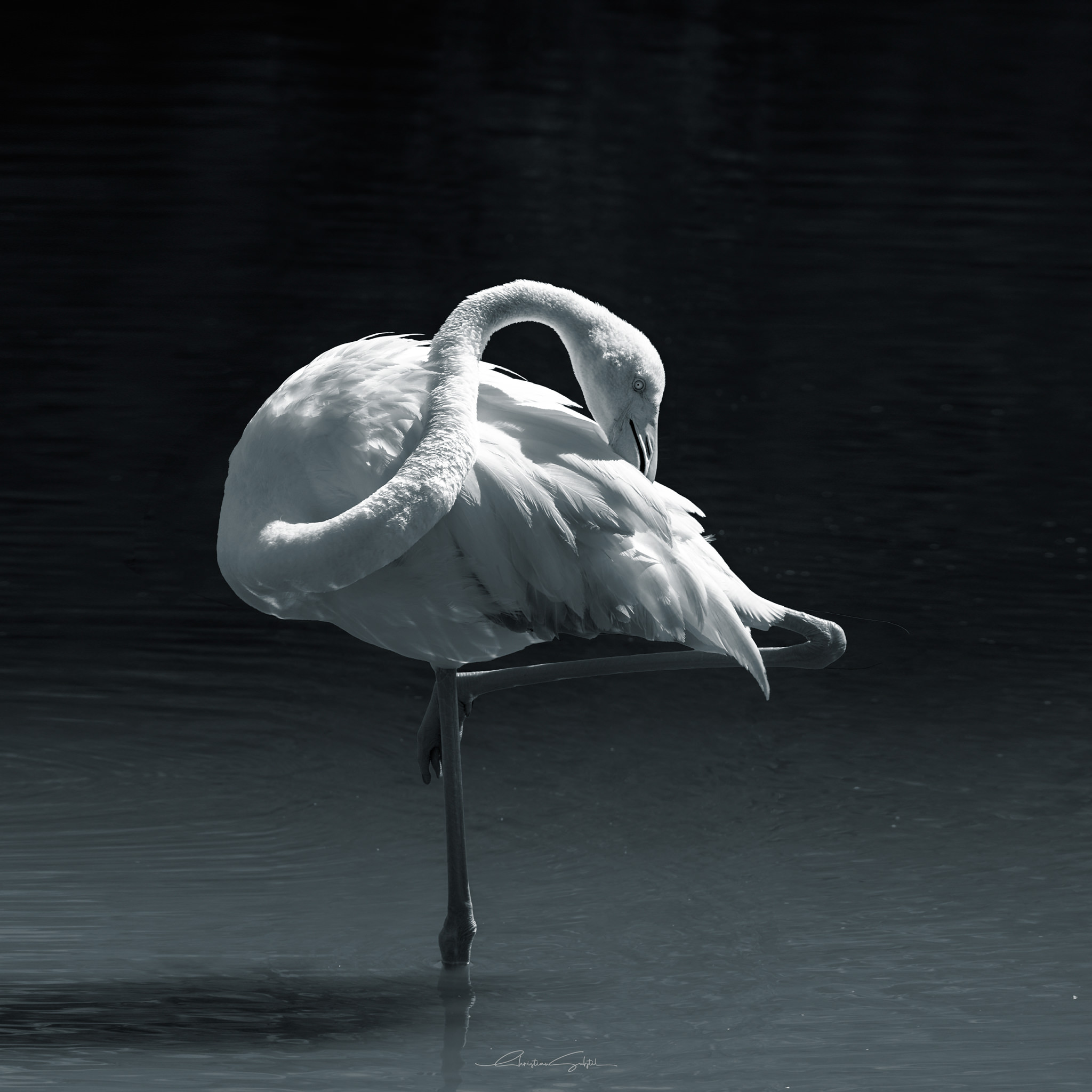_T5A8510-Modifier-2.jpg