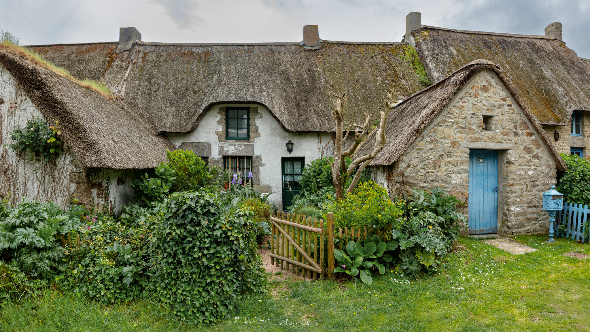 _T5A8139-Panorama-Modifier.jpg