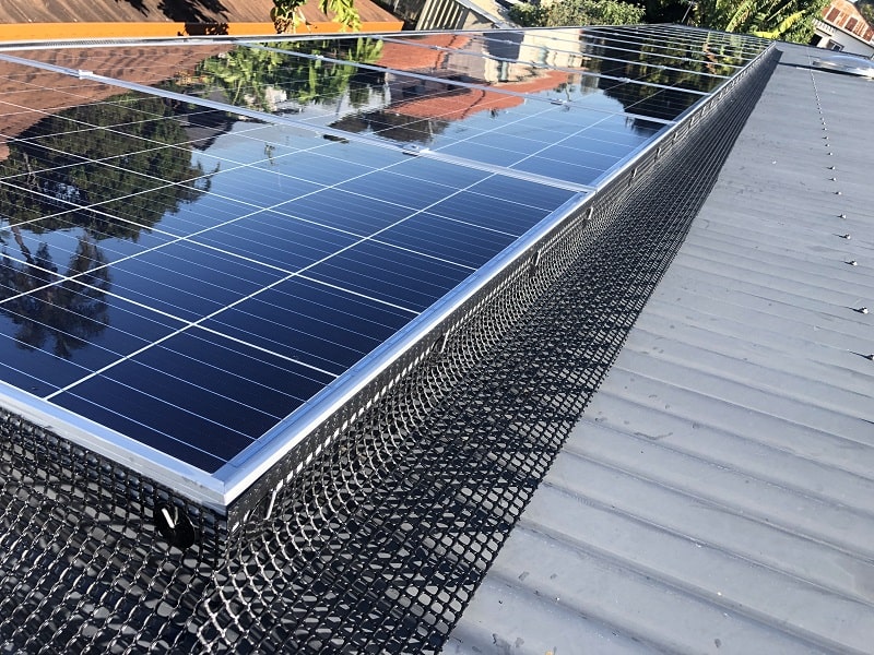 Solar-Panel-Bird-Proofing.jpg