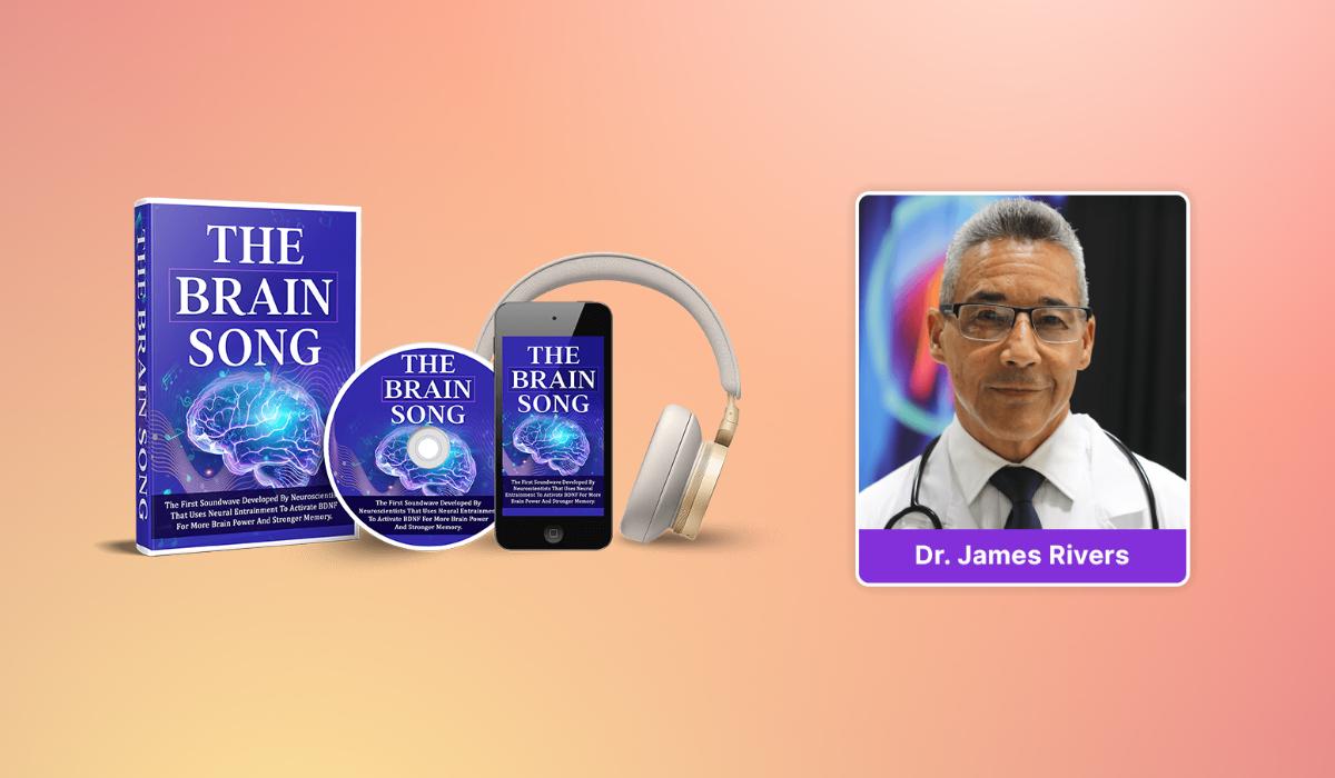 how-the-brain-song-works.jpg